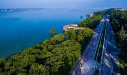 今日西湾公园爆料新闻,最新爆料揭示惊人真相