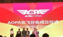 西安飞翔最新爆料新闻报道,揭秘项目进展与未来规划